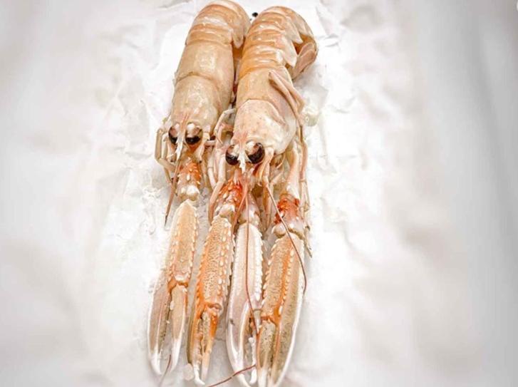 Ristorante Hotel Lucia - 100 Mt Dal Mare Giulianova Zewnętrze zdjęcie
